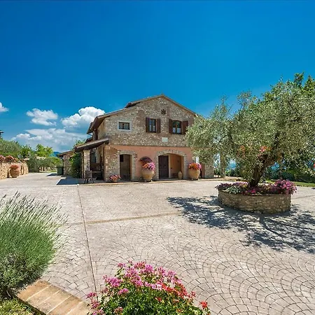 Vila I Grifoni